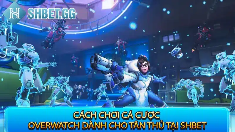 Cách chơi cá cược Overwatch dành cho tân thủ tại Shbet