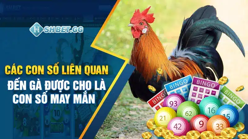 Các con số liên quan đến gà được cho là con số may mắn 