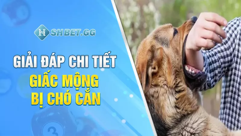 Giải đáp chi tiết giấc mộng bị chó cắn