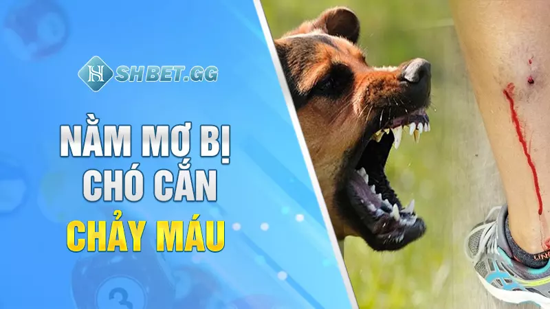 Nằm mơ bị chó cắn chảy máu