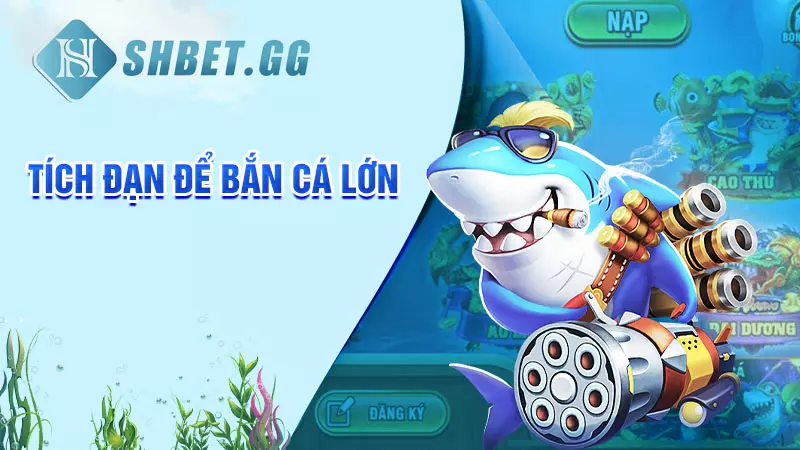 Tích đạn để bắn cá lớn