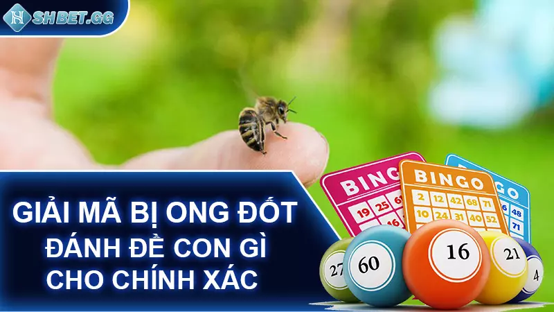 Giải mã bị ong đốt đánh đề con gì cho chính xác