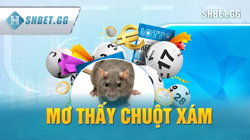 Mơ thấy chuột xám