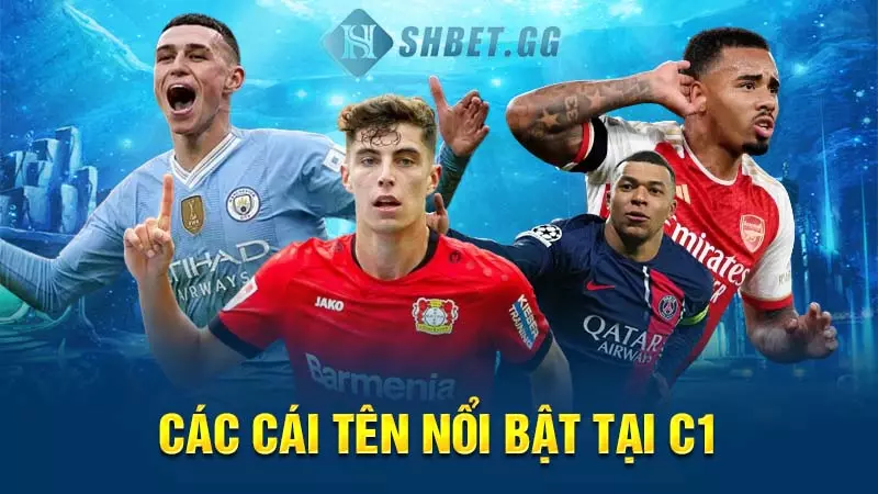 Các cái tên nổi bật tại C1