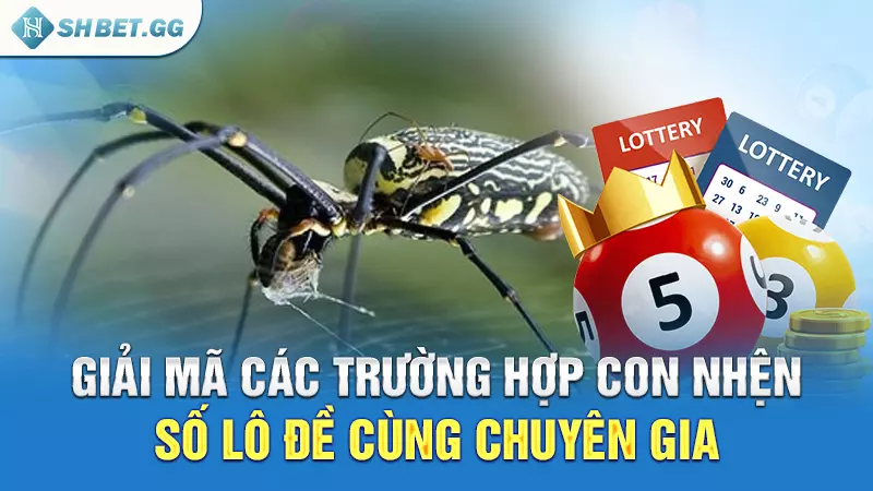 Giải mã các trường hợp con nhện số lô đề cùng chuyên gia