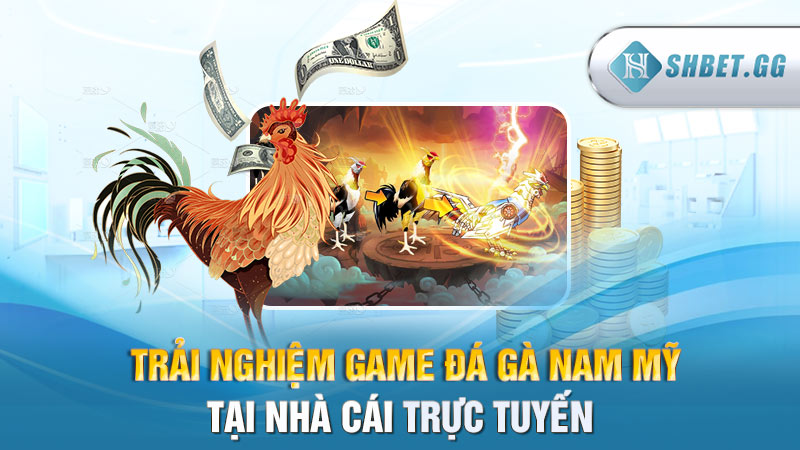 Trải nghiệm game đá gà Nam Mỹ tại nhà cái trực tuyến