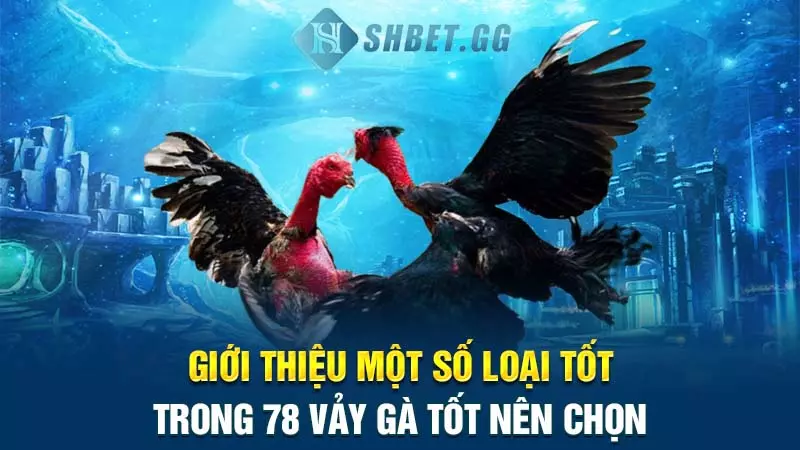 Giới thiệu một số loại tốt trong 78 vảy gà tốt nên chọn