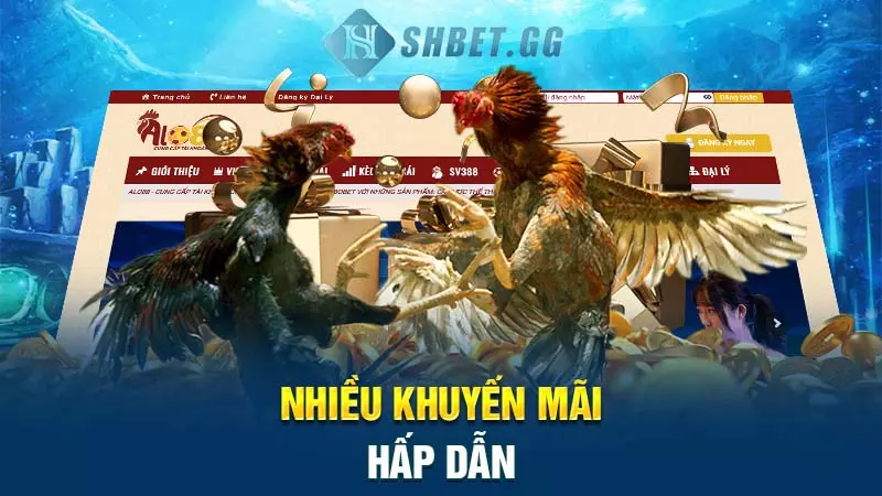 Nhiều khuyến mãi hấp dẫn